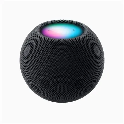 HOMEPOD MINI BLUETOOTH SPEAKER- noir