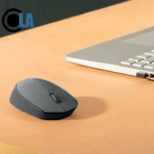 OLA souris M170